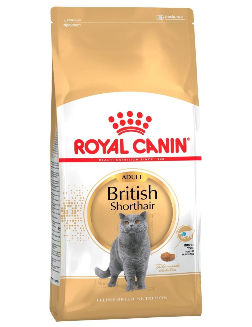 110000010430-Royal-Canin-British-Shorthair-Adult-Dry-Cat-Food-01.jpg copy 110000010430-Royal-Canin-British-Shorthair-Adult-Dry-Cat-Food-01.jpg copy