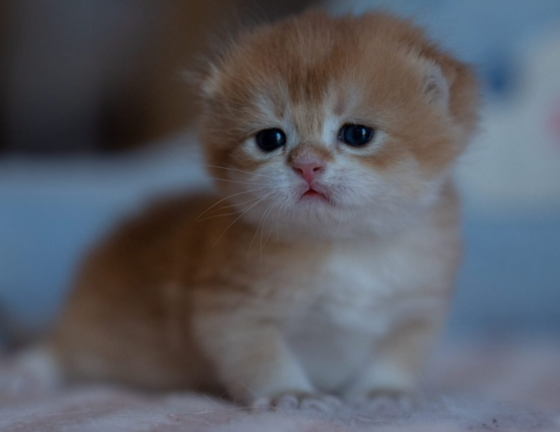 41560811edeaa4b45d7fe021271ef95a 2