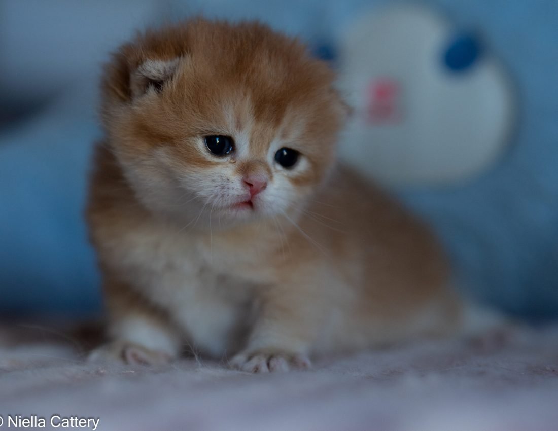 50cf1d19a1b5a1d7cedb13bf6745c10e 2