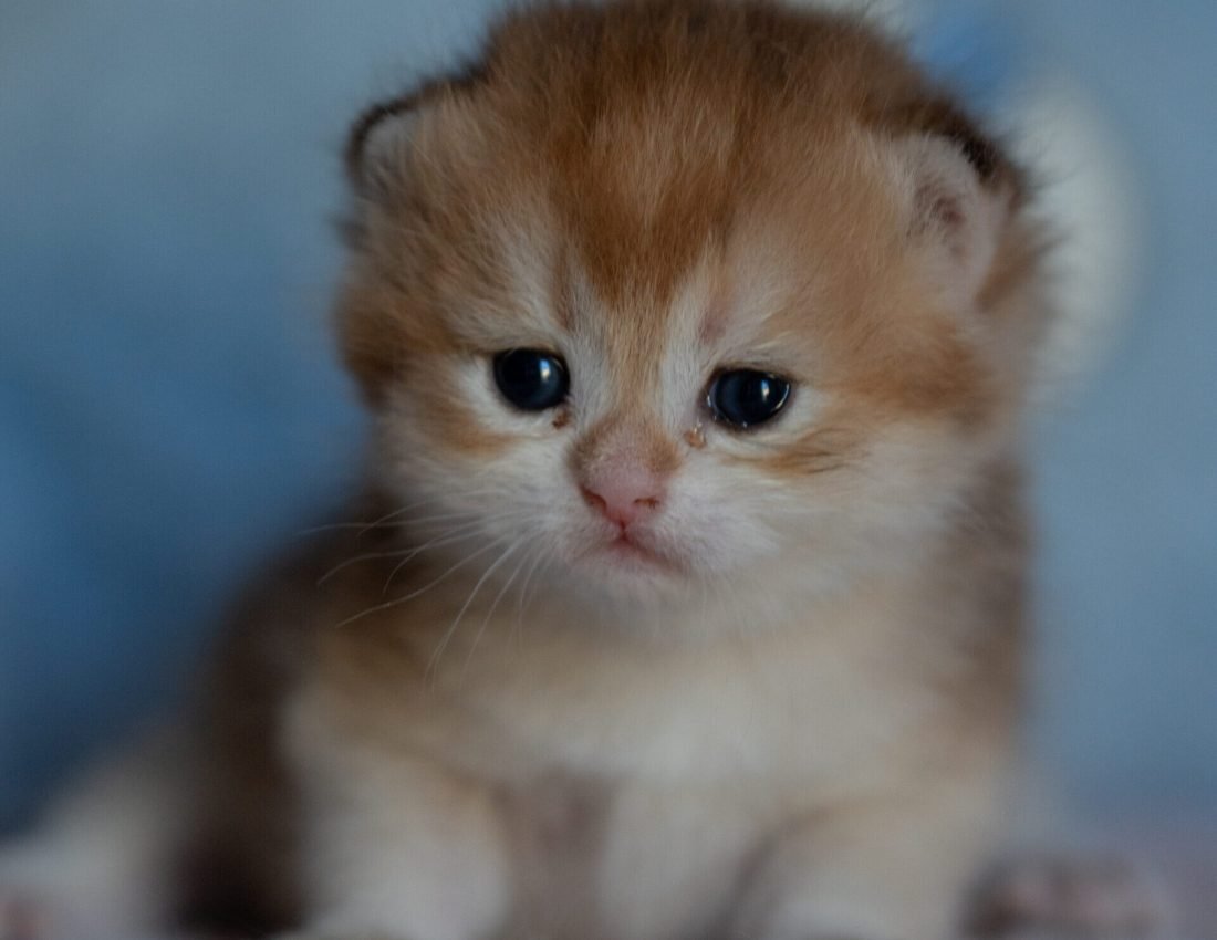 6227613d0a36ff3f8da2c5e06b1b60ce 2