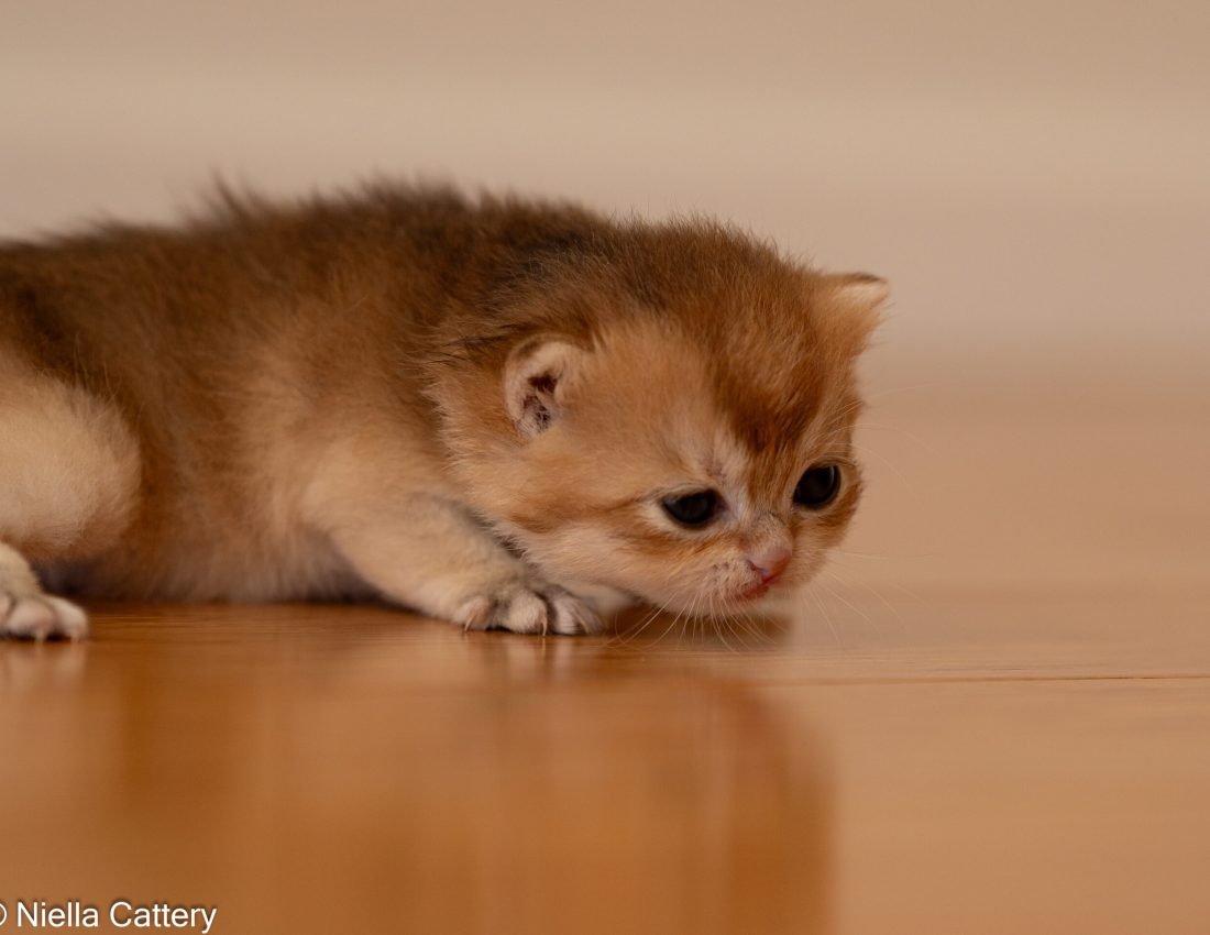 7b98b7c43e4b21c90e019502e1026017