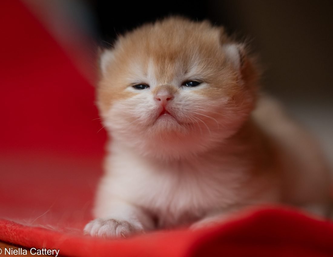 8ce7b239d164fc88f986bc09571bb785