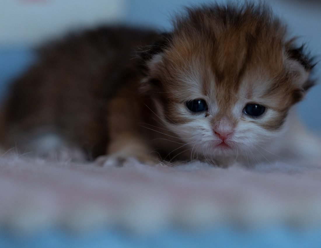 9cf668df31c5480f04d926df0bbdbc40 2