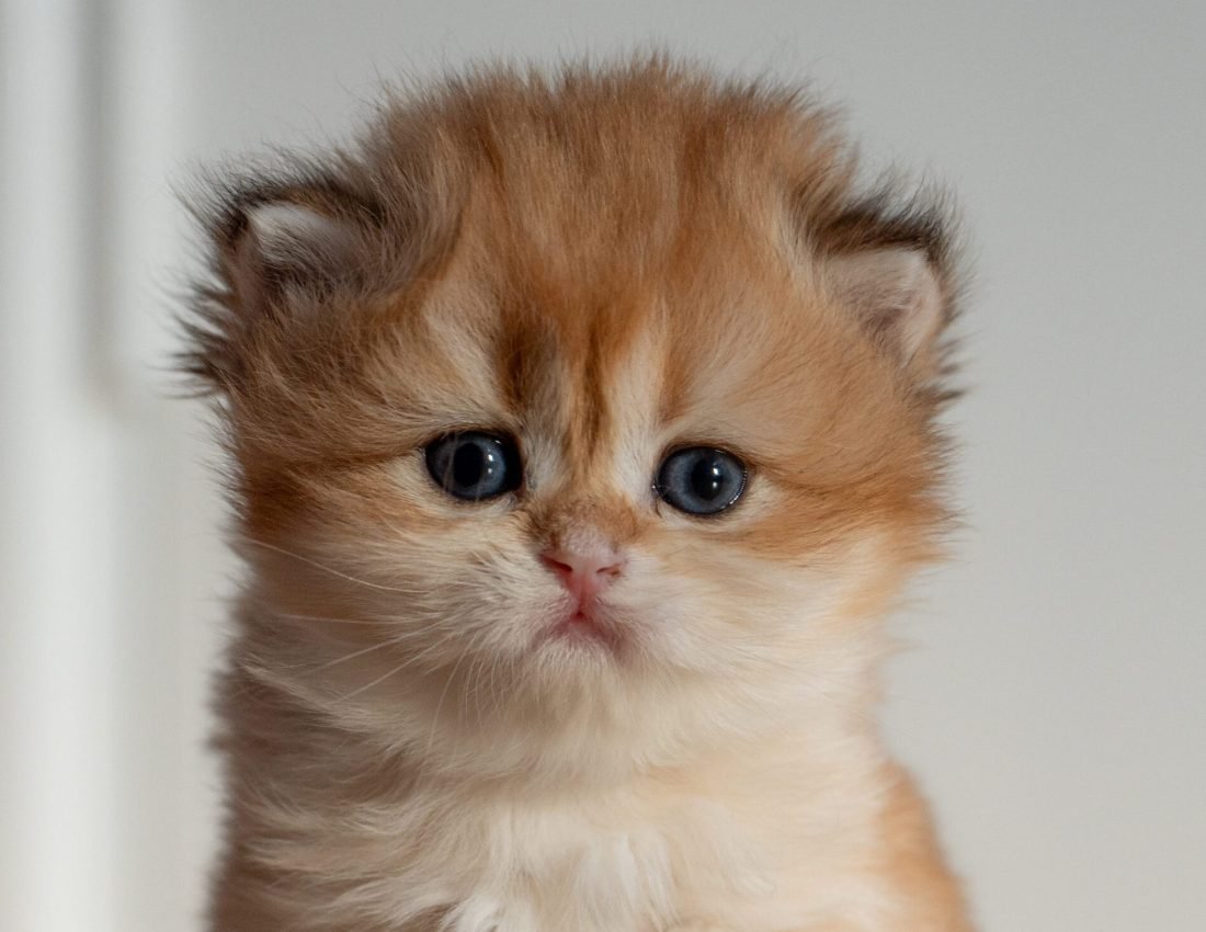 9ffb6bbf2c770c55fbffec8e463cd189