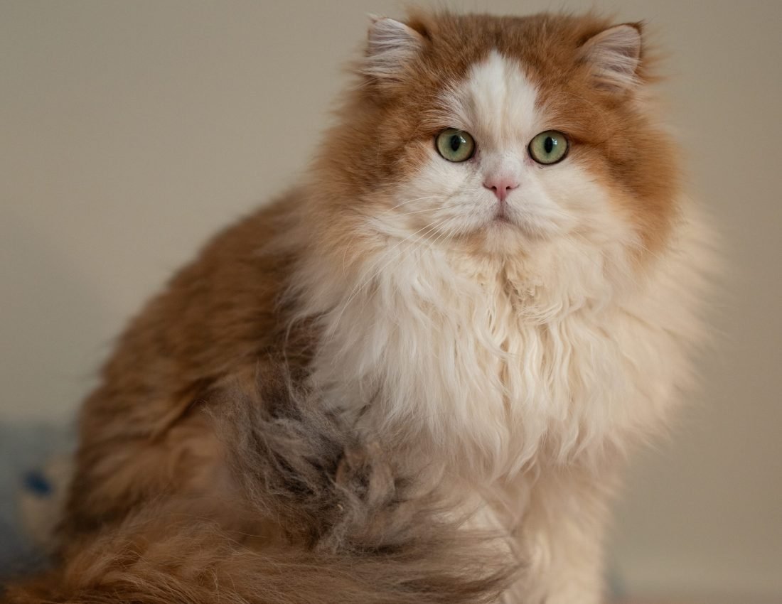 b5e2851df87ff1c79709d49fb36a9df7