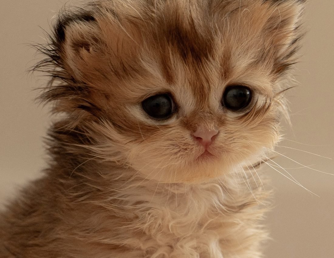 bc9099b1f3be35277db8430278101e8d