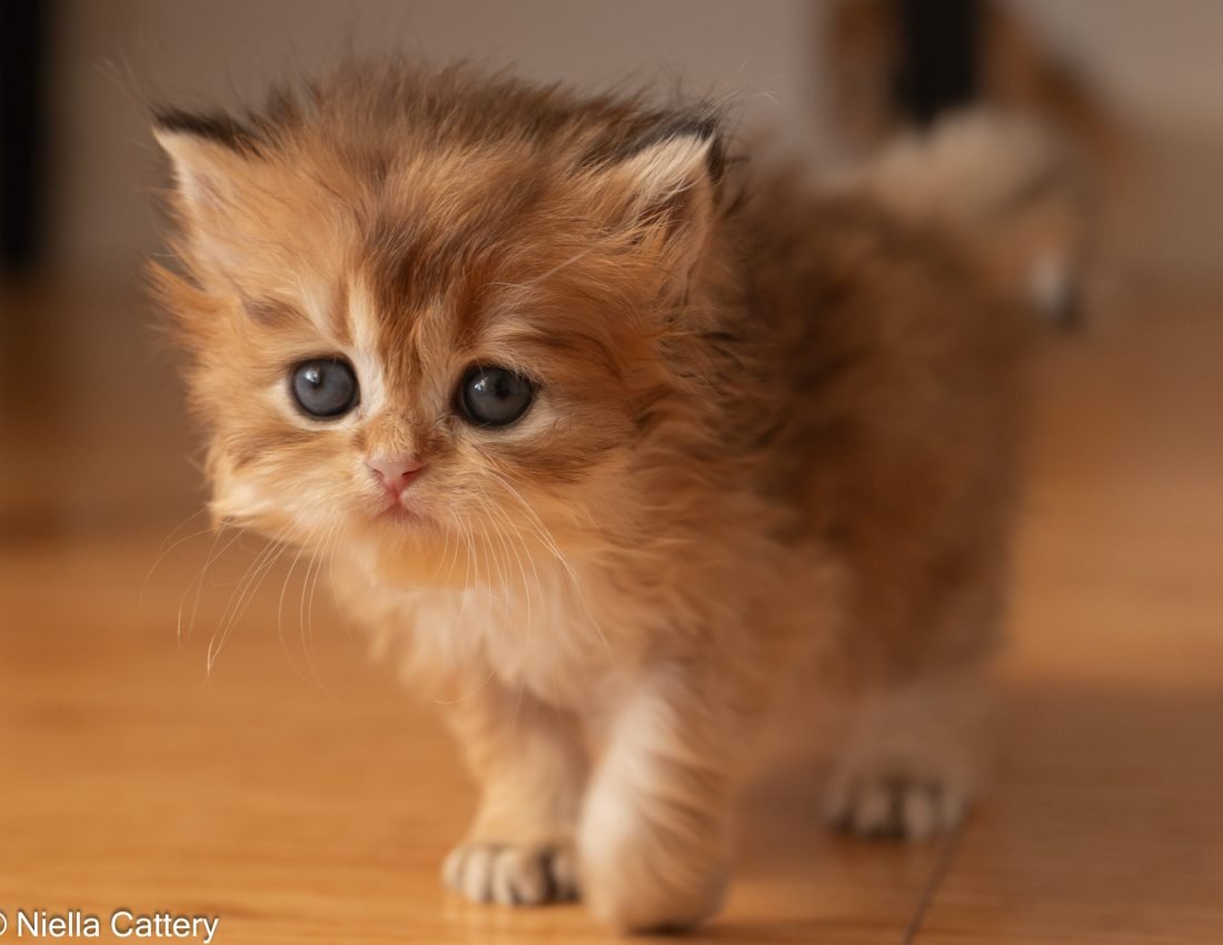 e196f2a850f6526afb3c6c2283b00ea4