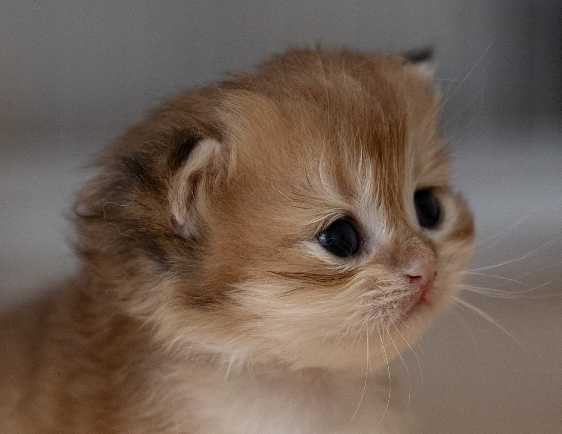 e9777e4836f25bcce6cc57df891ecce0